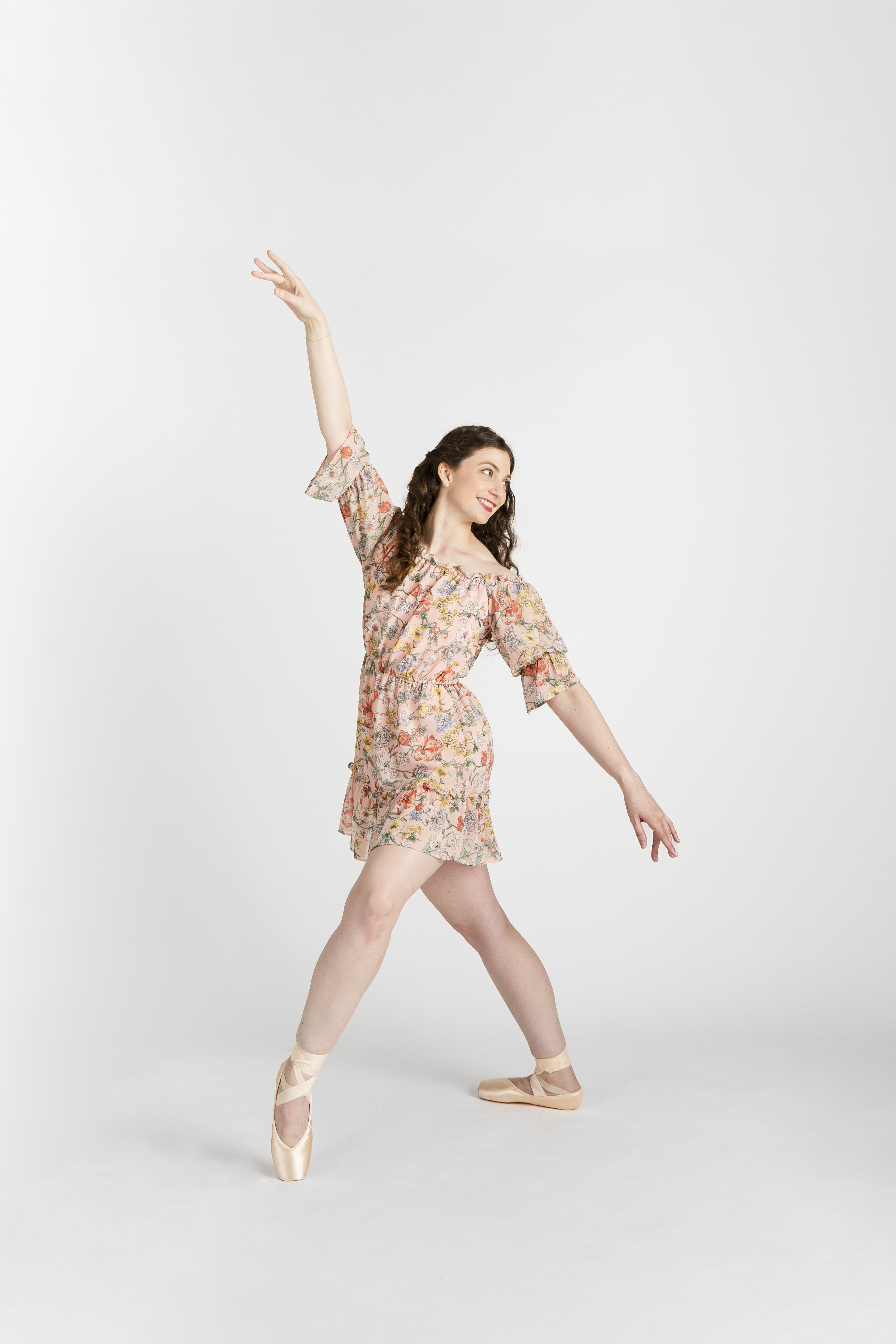 Democratic Party of Craighead County (AR)