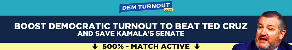 Dem Turnout 2024