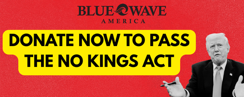 BlueWaveAmerica