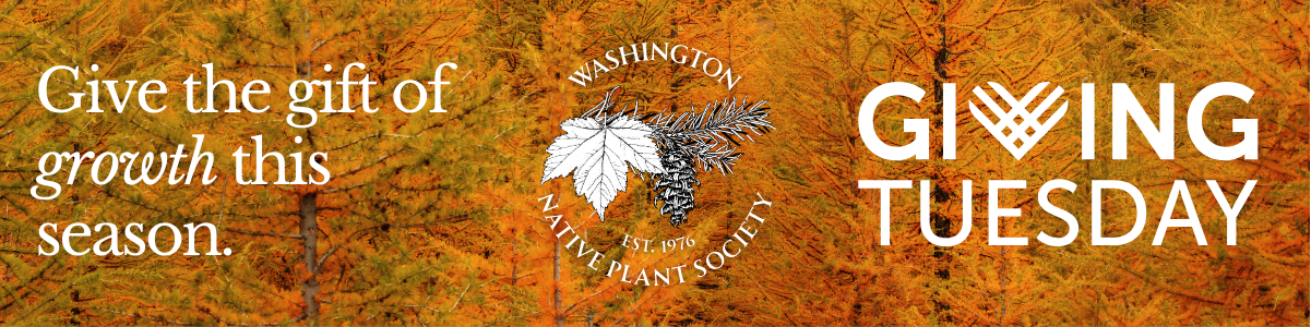 Washington Native Plant Society