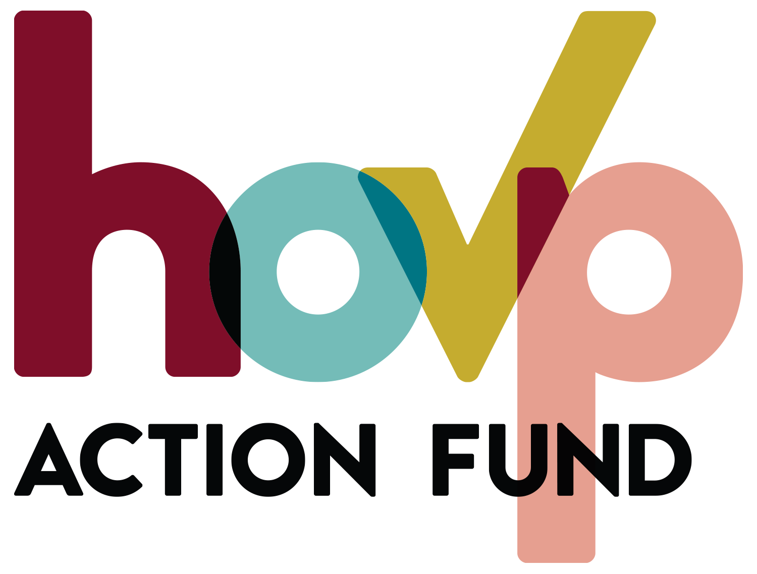 High Opportunity Voter Project Action Fund