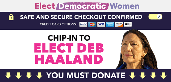 Elect Democratic Women