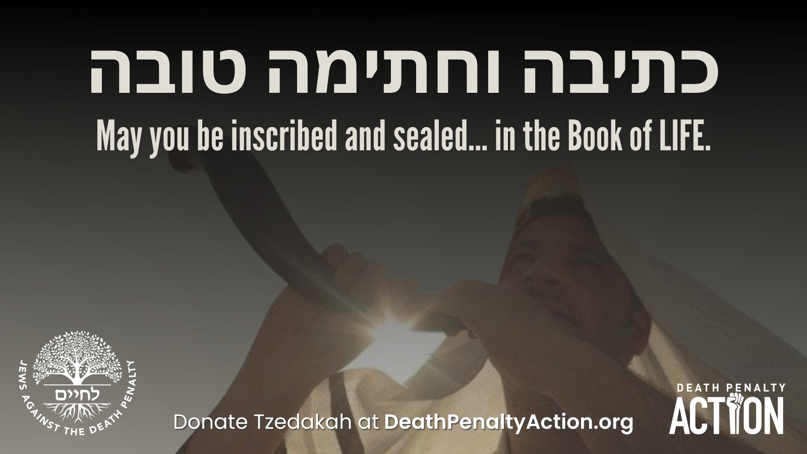 Death Penalty Action