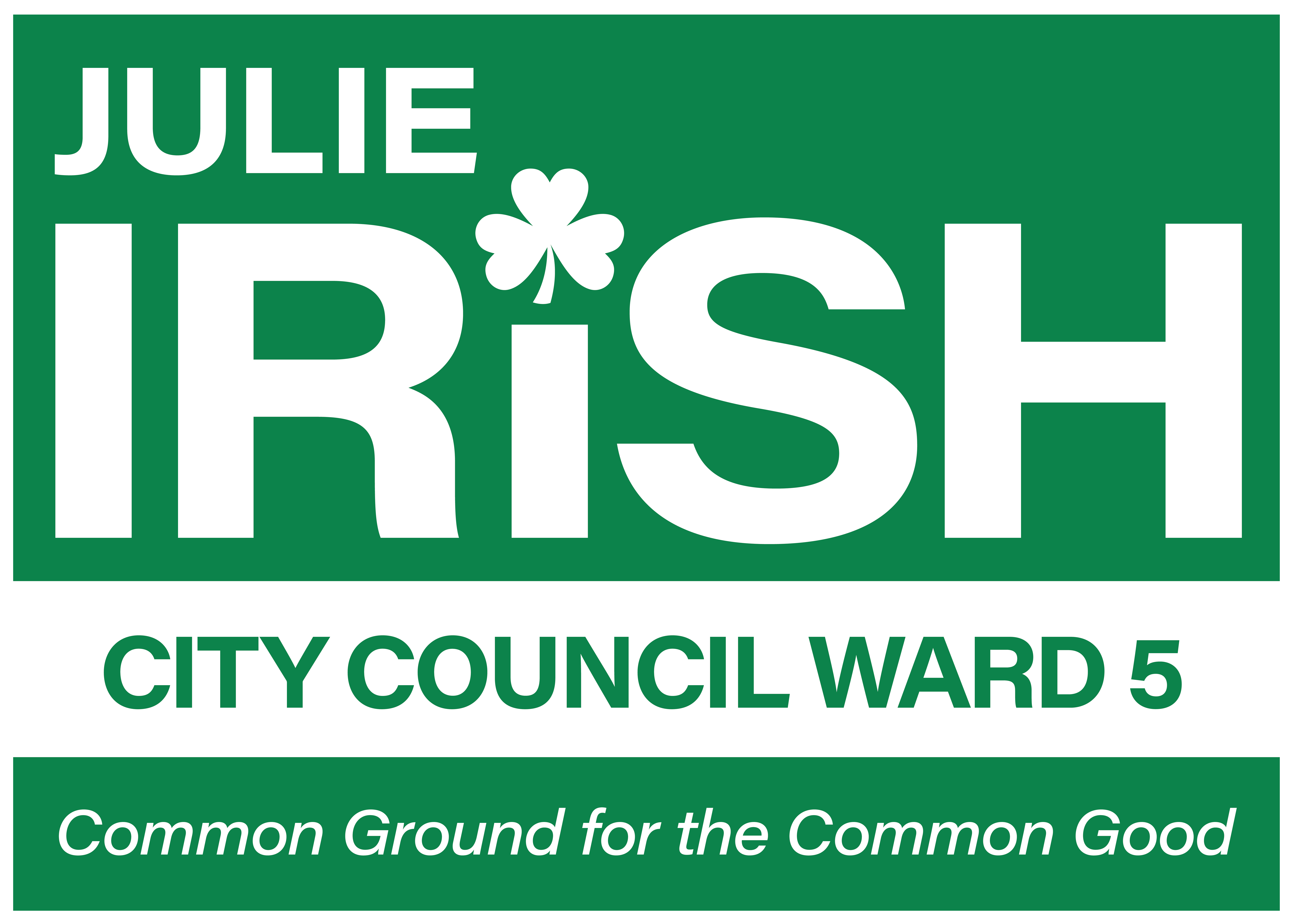 Julie Irish