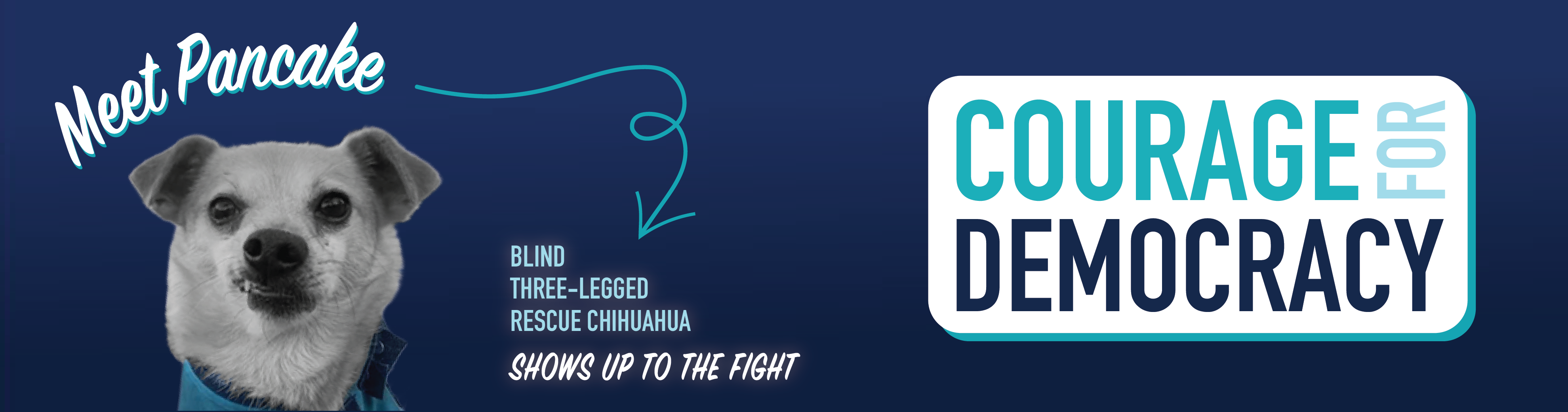 Courage for Democracy - IE
