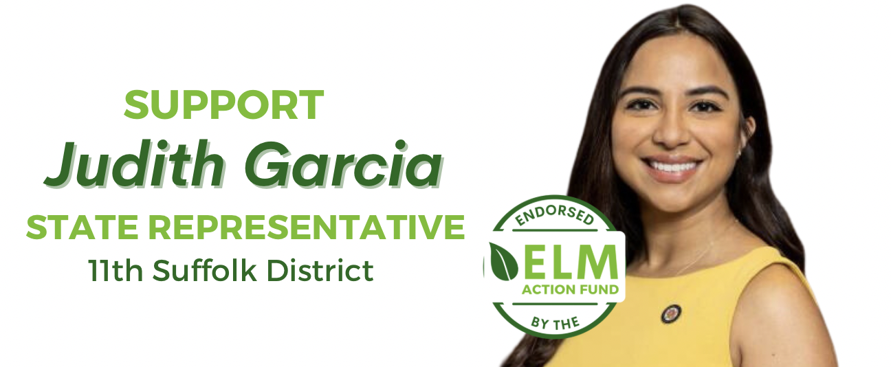 Environmental League of Massachusetts Action Fund, Inc.