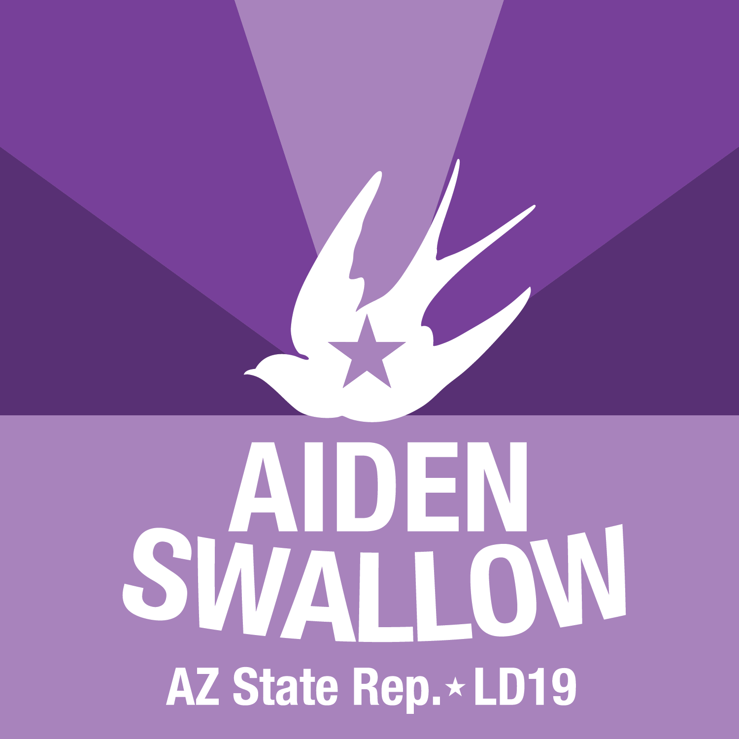 Aiden Swallow