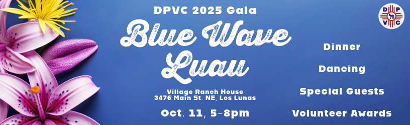 Democratic Party of Valencia County (NM)