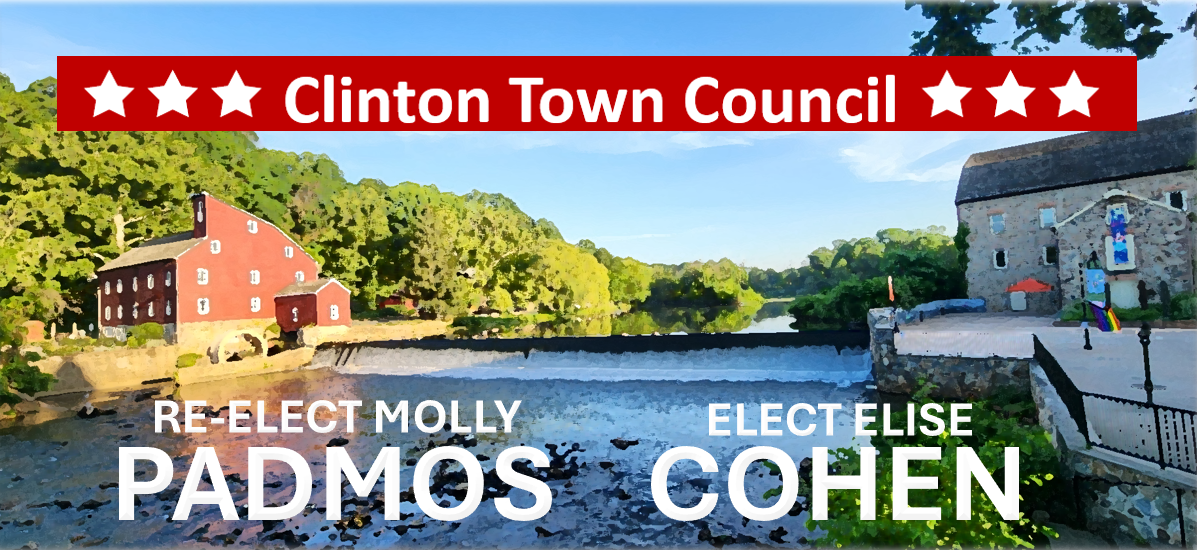 Town of Clinton Democrats (NJ)