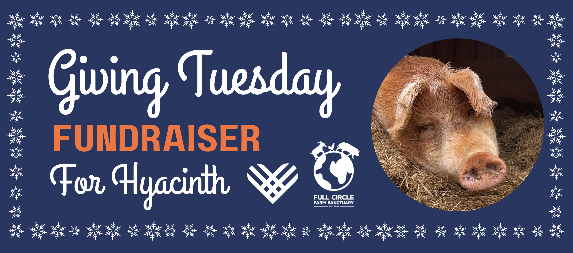 Full Circle Farm Sanctuary