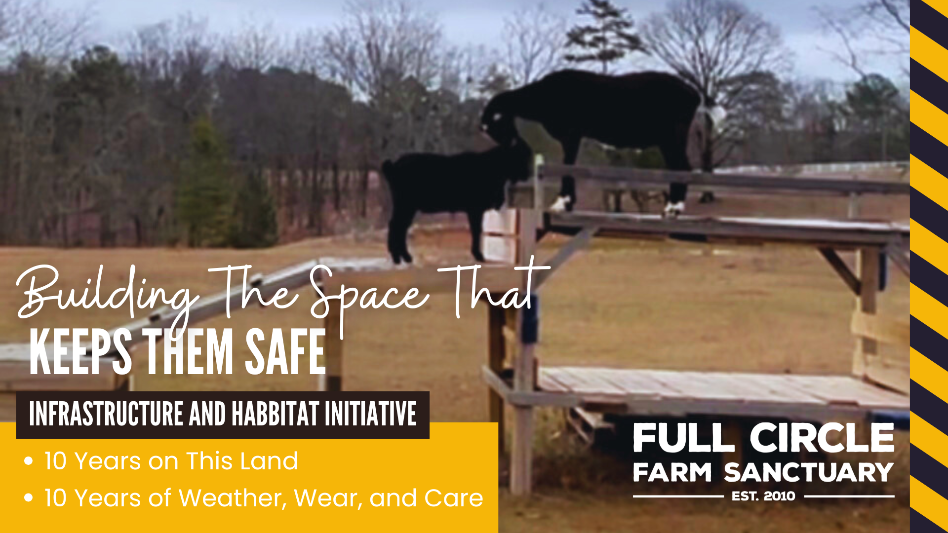 Full Circle Farm Sanctuary
