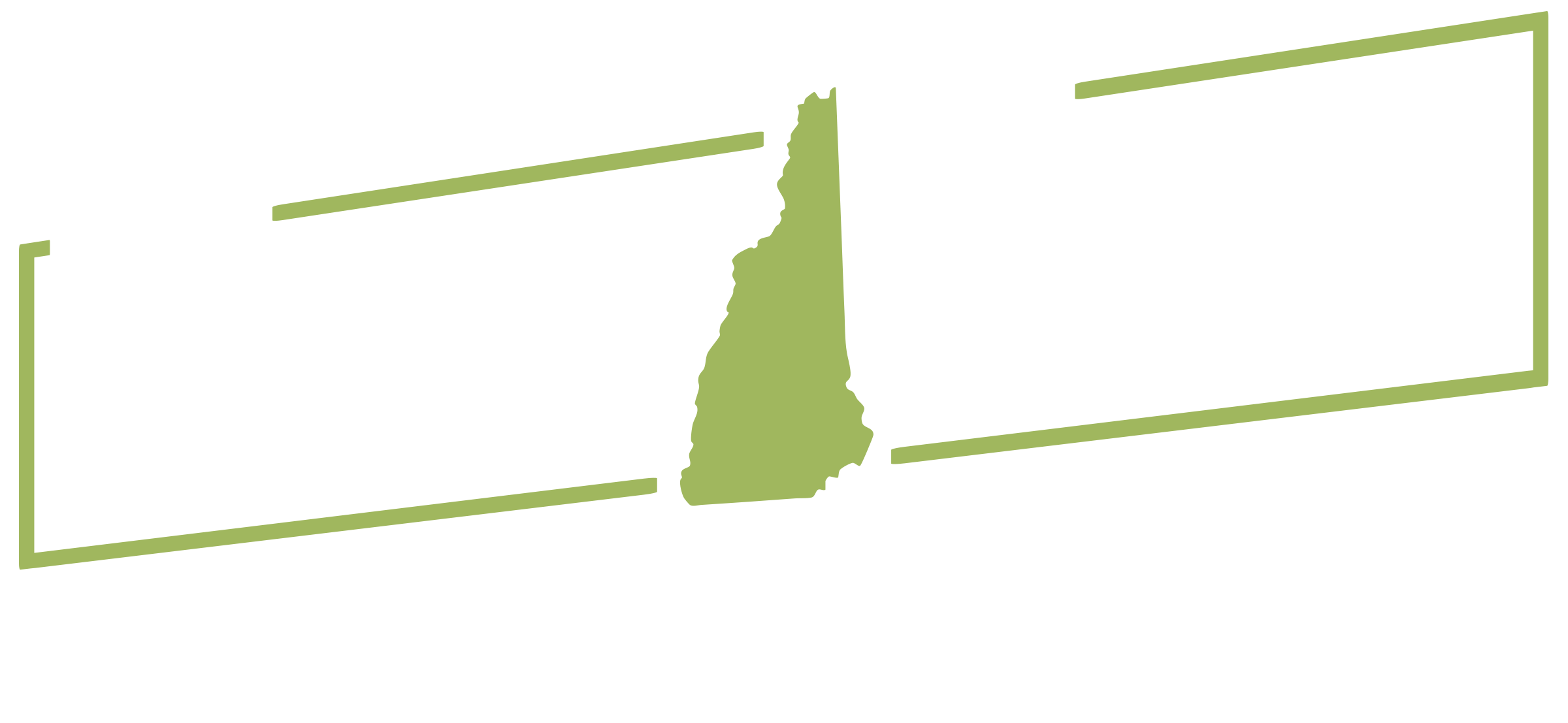 Nick Paul