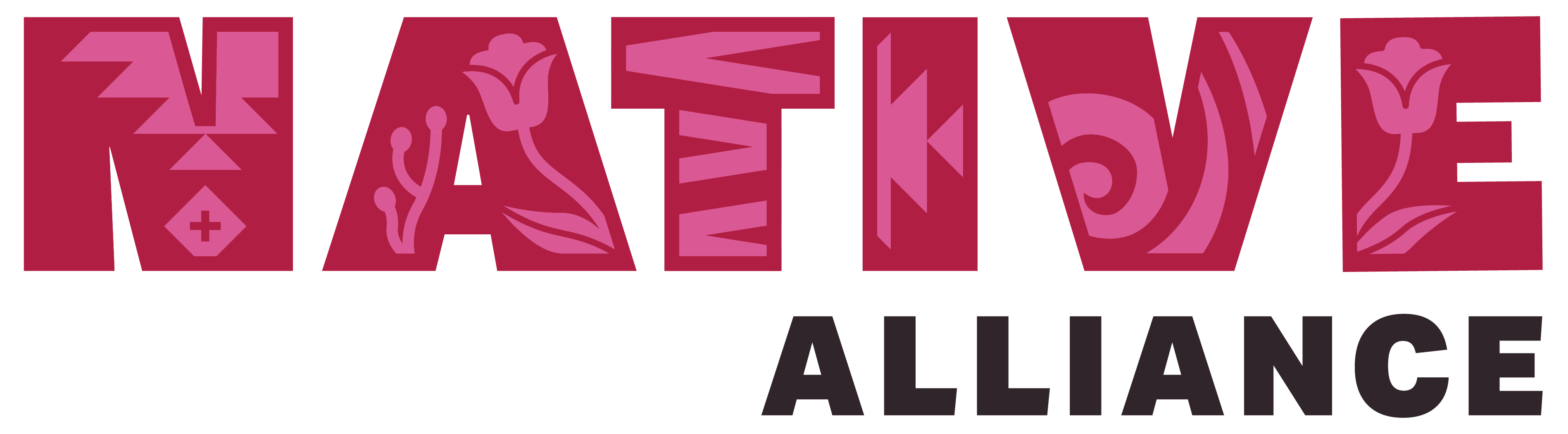 Native Voters Alliance Nevada