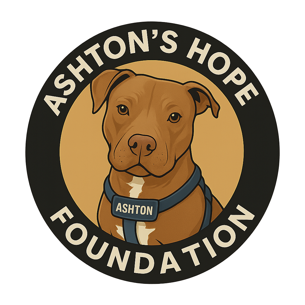 Ashton's Hope Foundation