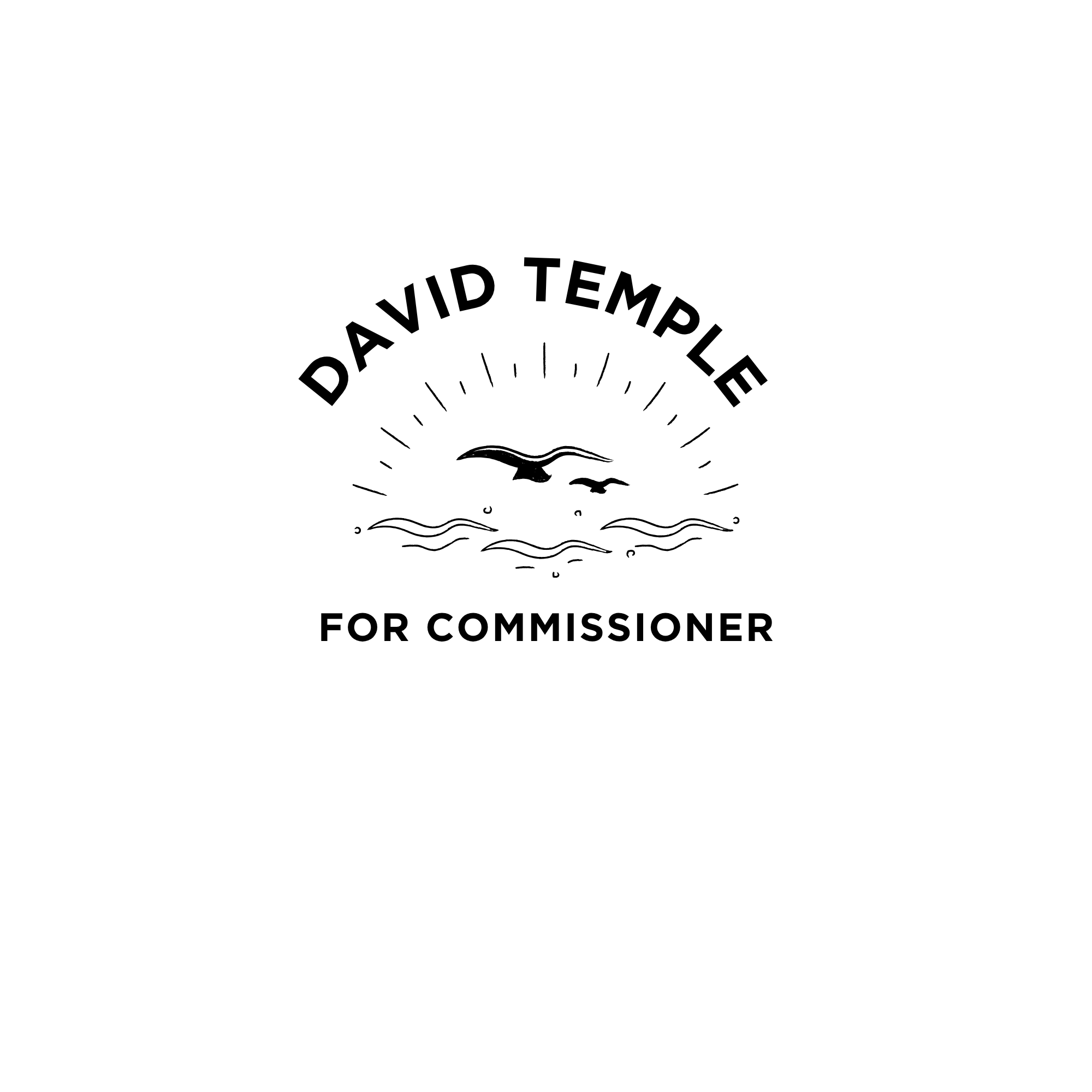 David Temple