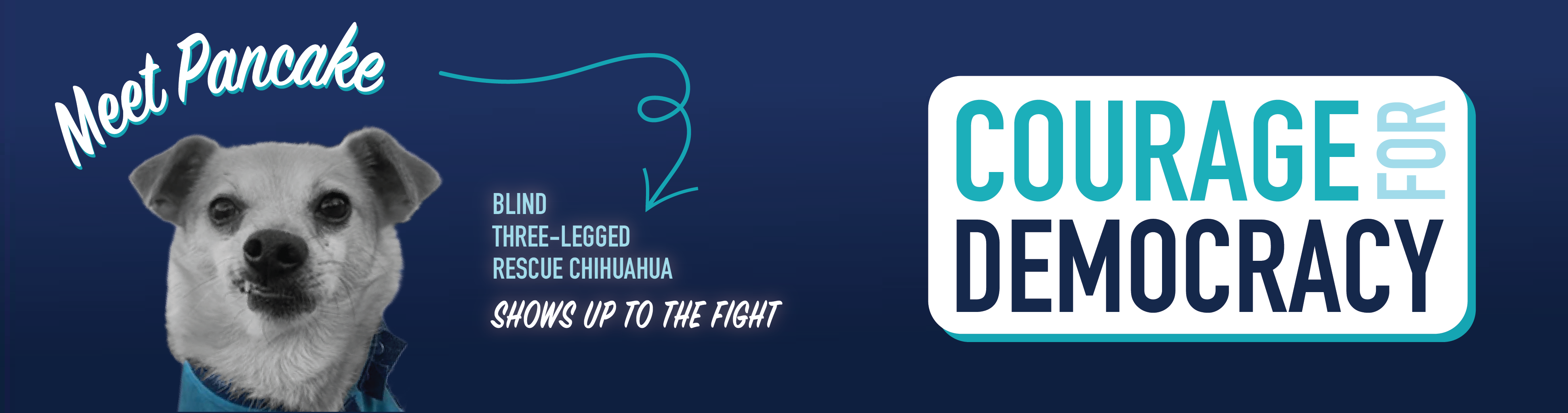 Courage for Democracy