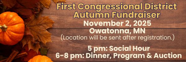 First Congressional District DFL (MN)