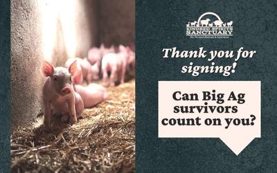 Kindred Spirits Sanctuary