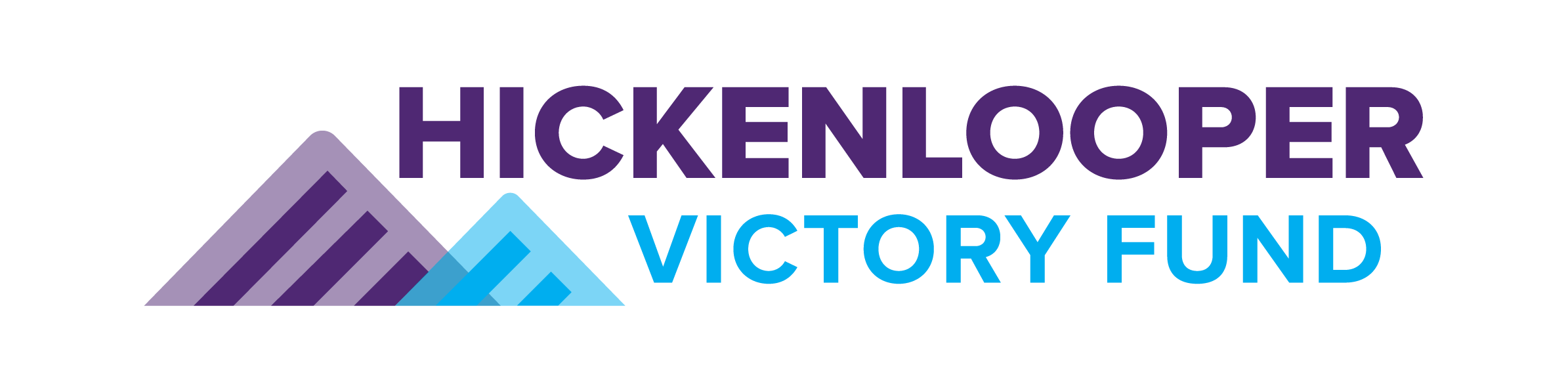 Hickenlooper Victory Fund