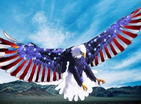 Let the Eagle Soar